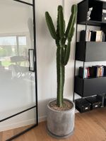 menschengroßer Kaktus mit Blumentopf (Zementanstrich) Pankow - Prenzlauer Berg Vorschau