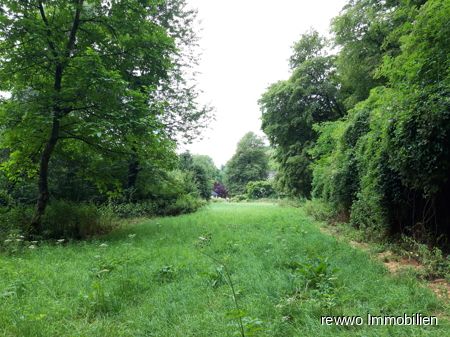 Zauberhaftes Grundstück mit eigenem Wald und Bachlauf in Burghausen in Burghausen