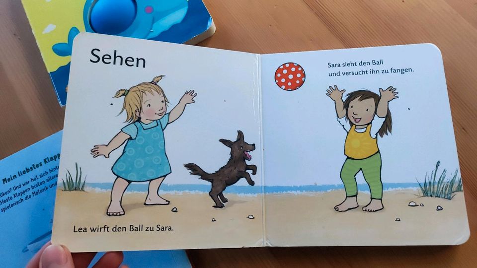 Set 3x Kinderbücher ab 1 Jahr (Popup, Bauernhof, Sinne) in Bannewitz