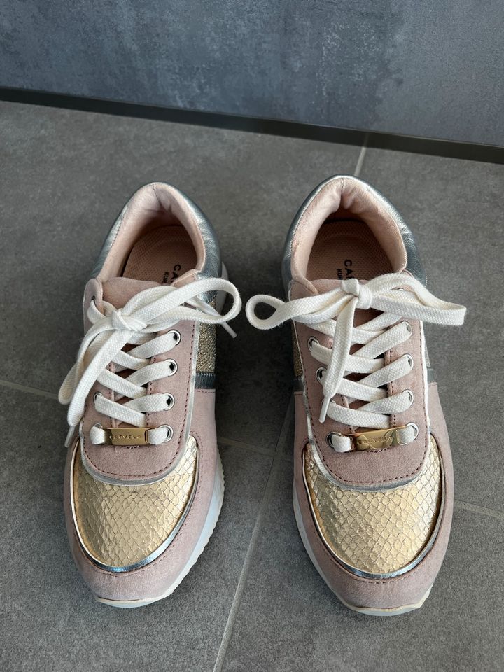 Carvela by Kurt Geiger Schuhe Sneakers Gold Rose 37 in Baden-Württemberg -  Sindelfingen | eBay Kleinanzeigen ist jetzt Kleinanzeigen