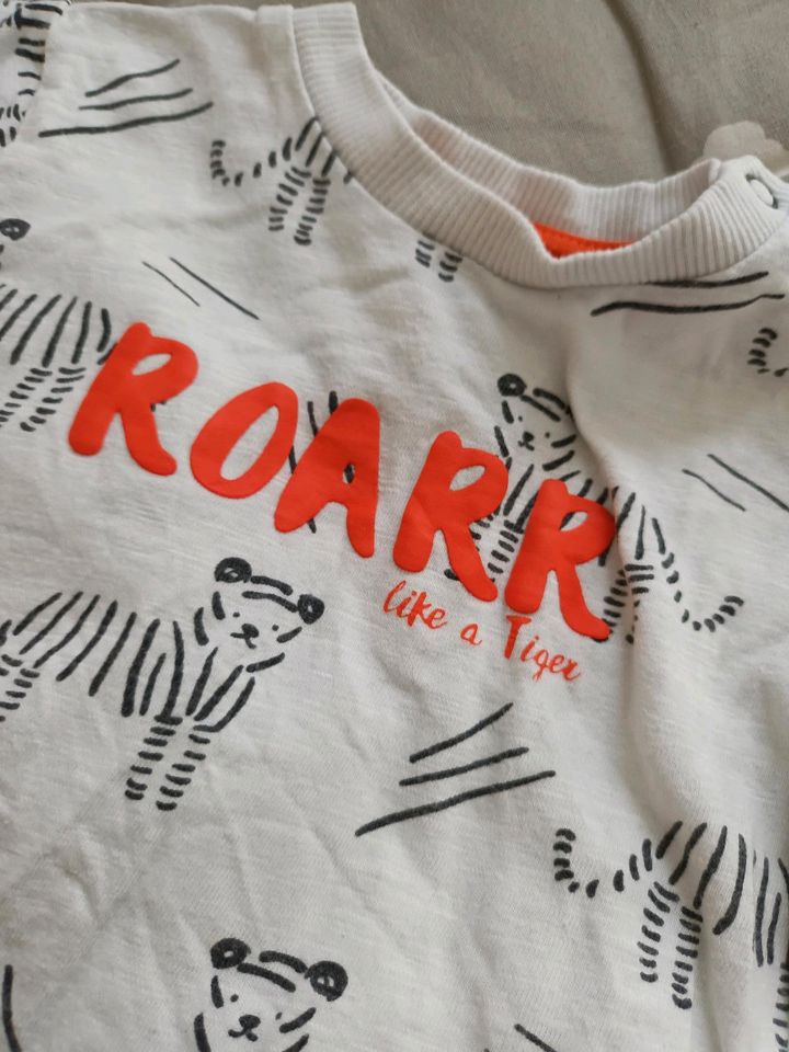 Topomini Baby Set Sommer 68 Shirt shorts Tiger Roarr in Hagen am Teutoburger Wald