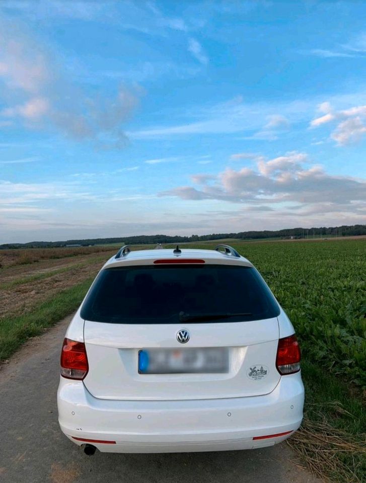 VW Golf VI 1.6 TDI (DSG) in Kerken