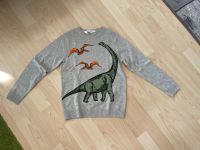 Grauer Feinstrick Pullover Dinosaurier Gr.122-128 H&M Neu Baden-Württemberg - Waldachtal Vorschau