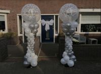 Hochzeit/Dekoration/Ballon Sachsen - Reichenbach (Vogtland) Vorschau