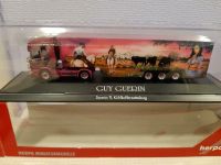 Herpa Guy Guerin Scania TL SZM Airbrush PC Rheinland-Pfalz - Westheim Vorschau