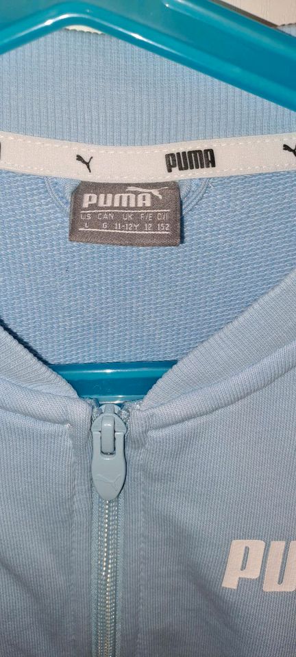 Sweatjacke Puma hellblau 146 152 sehr gut in Neuss