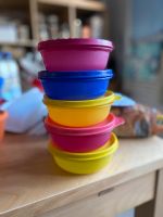 Tupperware 300ml Dosen rund Niedersachsen - Wilhelmshaven Vorschau