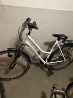 Fahrrad 27 Zoll Niedersachsen - Salzgitter Vorschau