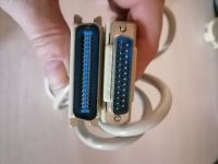 Kabel / Adapter D-Sub 25 Pin (m) auf Centronics Parallel 36 Bayern - Kirchham Vorschau