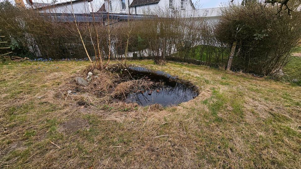 Einfamilien-/ Mehrgenerationenhaus mit Garten in Schwandorf Miete in Schwandorf