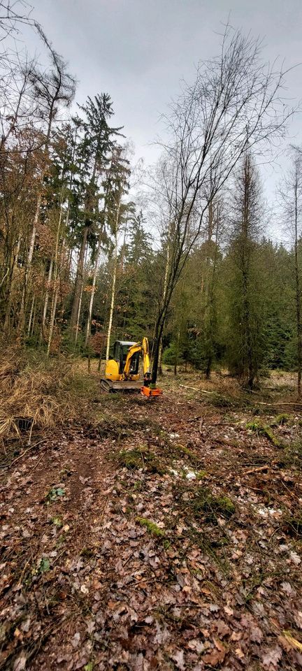 Rodung Fällgreifer Baumfällung Landschaftspflege in Berching