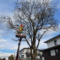 Baumpflege, Baumfällung, Totholzentfernung, Stubbenfräsen Niedersachsen - Martfeld Vorschau