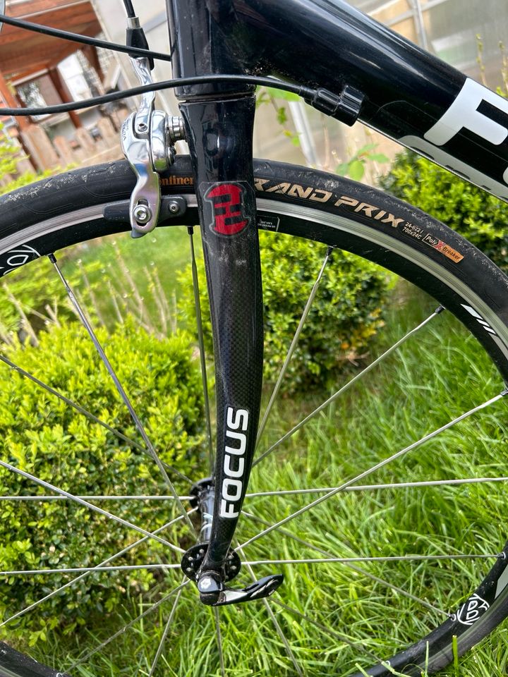 Focus Rennrad Variado Expert in Niestetal