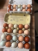 Hühner Eier Bio Baden-Württemberg - Grosselfingen Vorschau