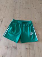 Nike shorts kurze hose vintage  Jogginghose Nordrhein-Westfalen - Hürth Vorschau