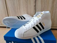 Adidas Pro Model Baden-Württemberg - Achern Vorschau