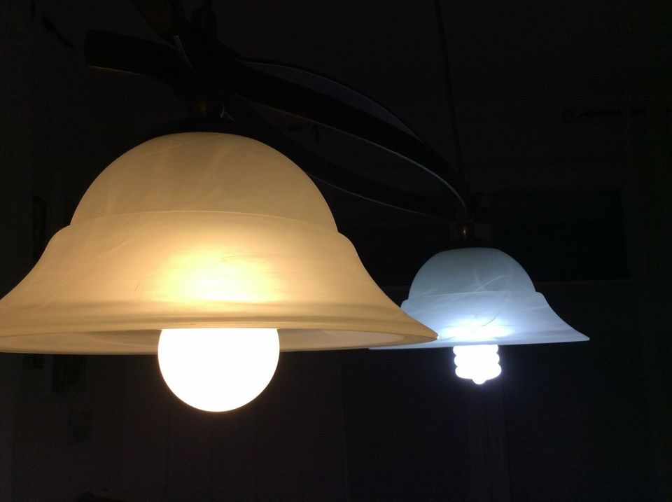 Hänge Lampe für Küche Esszimmer Stube Milchglas Licht Leuchte in Oldenburg