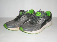 Jungen Sportschuhe grau Gr. 39 von Puma Berlin - Niederschönhausen Vorschau