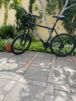 Fahrrad Focus Cypress XL Rahmen mit 26er Räder Wiesbaden - Mainz-Kostheim Vorschau