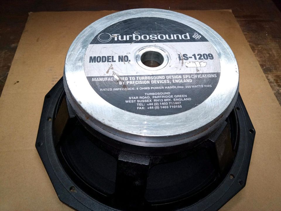 Reconen von Turbosound LS-1209 in Meiningen