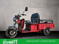 Cargo Runner Compact   25 km /H  Neu !!!! 2480.- € Führerscheinfrei Bayern - Sommerach Vorschau