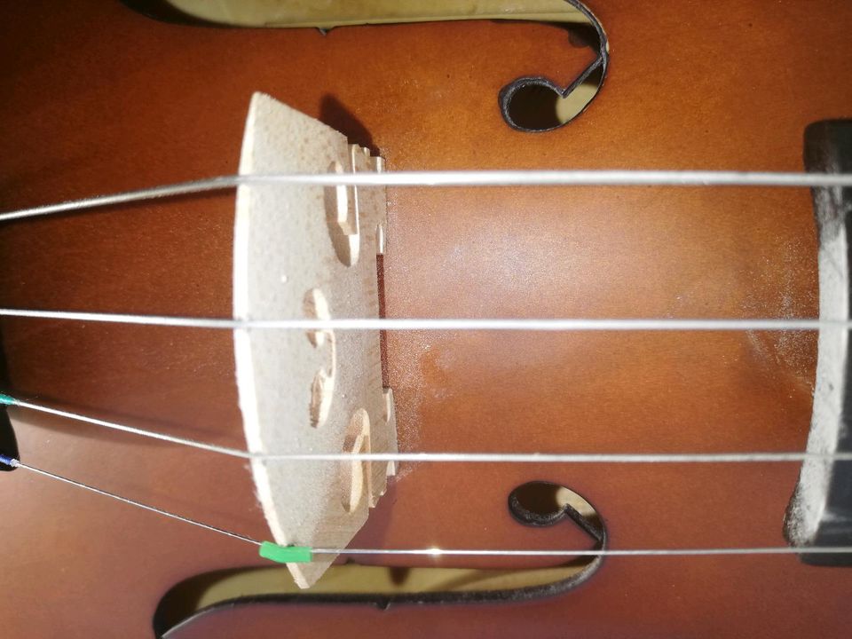 Violine dreiviertel in Böhlen