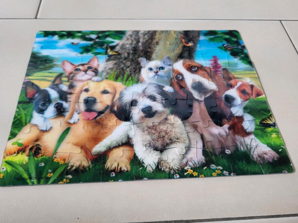 Puzzle mit 3D-Effekt, 63-teilig, Hunde und Katzen in Weyhe