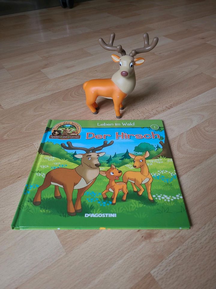 Süßes Kinderbuch mit Figur Hirsch Buch Leben im Wald in Dresden