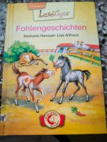 Lesetiger Erstleser Buch Fohlengeschichten Thüringen - Dingelstädt Vorschau