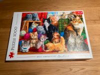 Puzzle 1000 Teile Katzen und Kätzchen Rheinland-Pfalz - Bodenheim Vorschau