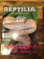 12 Stück Reptilia für Sammler Zeitschriften Nordrhein-Westfalen - Gummersbach Vorschau