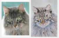 Hunde , Katzen u.a. Portaits Handgemalt Aquarell Nordrhein-Westfalen - Lüdenscheid Vorschau