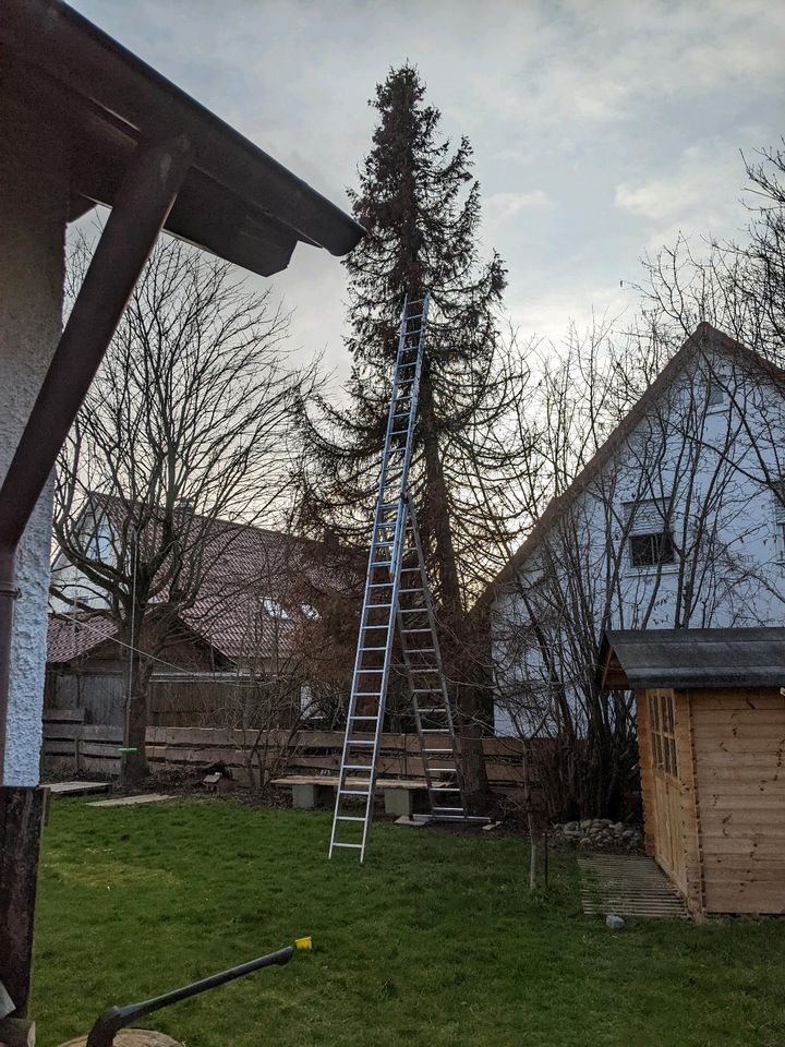 Große Mehrzweckleiter 3 Teilig Vermietung in Großaitingen