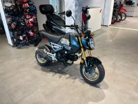 Honda MSX 125 2023 Dim Gray *Demobike* Bayern - Essenbach Vorschau