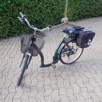 E-bike Heinzmann Estelle 26" neuer Akku14Ah viele Neuteile+AHK Niedersachsen - Schwarme Vorschau