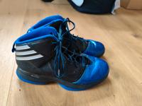 Nike "Ricky" Basketball-Schuhe Bayern - Großkarolinenfeld Vorschau
