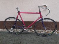 28 Zoll Koga Miyata "Exerciser" Rahmenset 60cm Rahmenhöhe ! Köln - Köln Buchheim Vorschau