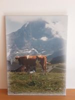 Keilrahmenbild Kuh auf Schweizer Alm, 60x80 cm Sachsen - Bautzen Vorschau