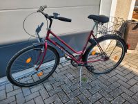 Damenfahrrad Hessen - Wildeck Vorschau