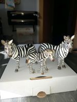 Schleich Zebra Familie, Männlein, Weiblein und Jungtier Sachsen - Glauchau Vorschau