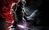 Ninja Gaiden Ryu Hayabusa Leinwand 120x80 Baden-Württemberg - Spaichingen Vorschau