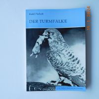 Der Turmfalke Baden-Württemberg - Kißlegg Vorschau