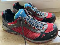 MEINDL GoreTex GTX Wander-/Berg-/Trekkingschuhe LOW UK 10.5 EU 45 Hessen - Mörfelden-Walldorf Vorschau