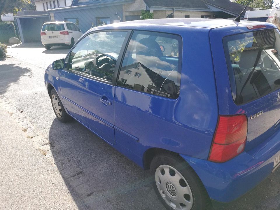 VW Lupo, 1,4 ltr, 1. Hand, blau in Oststeinbek