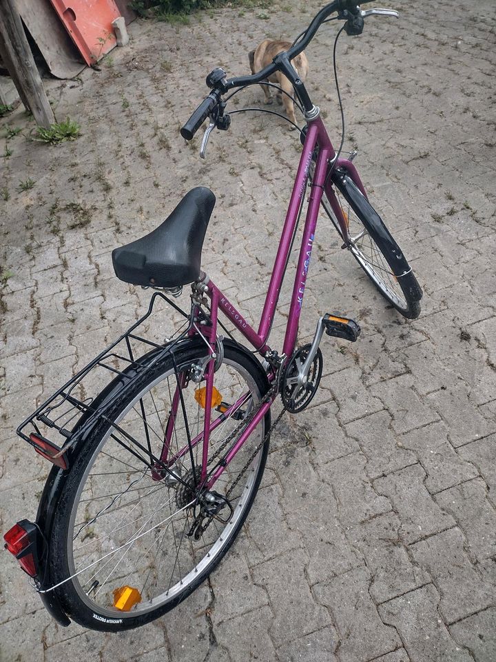 Fahrrad Damenrad in Mallersdorf-Pfaffenberg