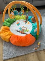 Baby fehn spielbogen Baby Nest und passende schnullerkette Bayern - Euerbach Vorschau