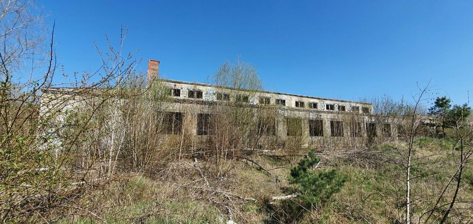 Gewerbegrundstück in Dessau-Roßlau ca. 100km von Berlin zu verkaufen! in Dessau-Roßlau