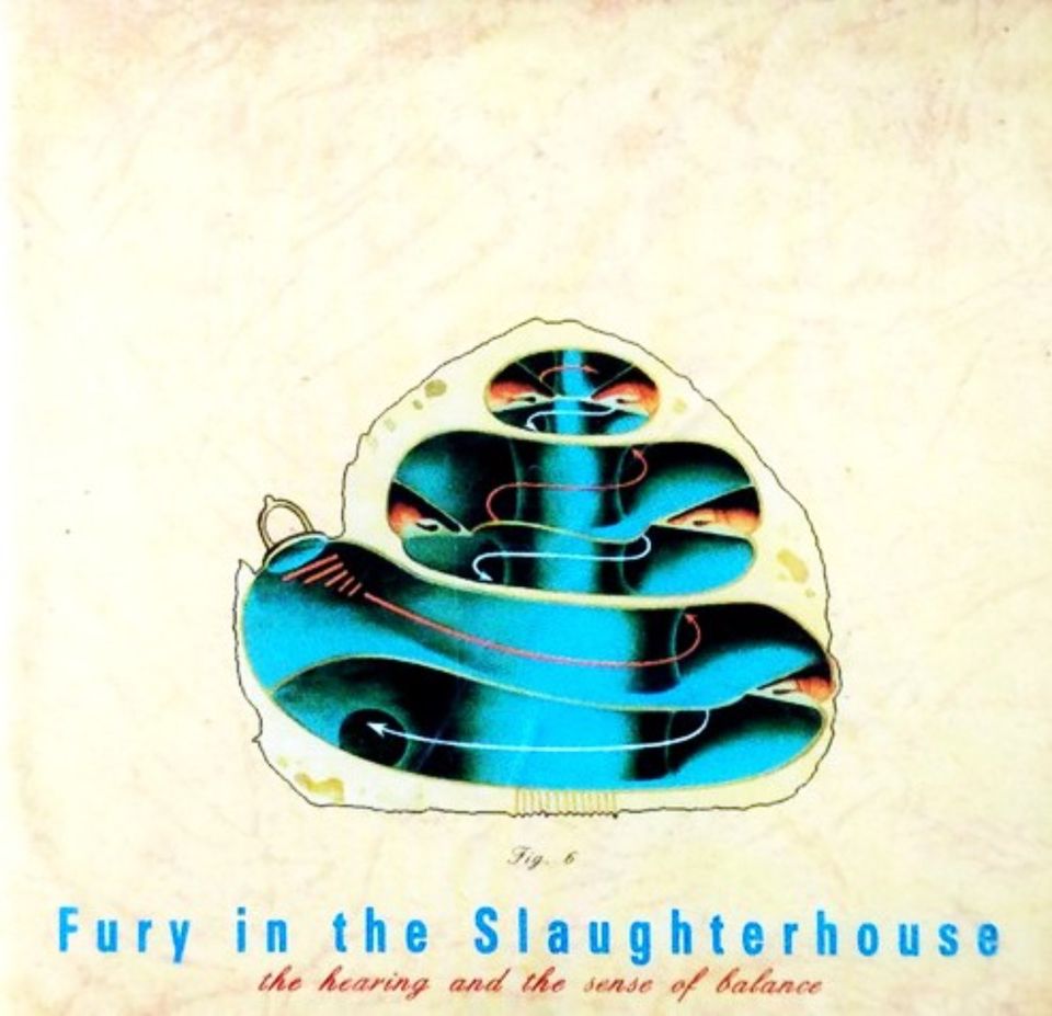 2x Fury In The Slaughterhouse CD Alben (80er Jahre Stars 24) in Hamburg