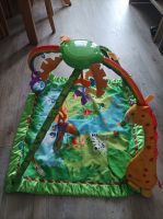 Spielebogen Fisher Price Sachsen - Coswig Vorschau