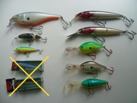 Wobbler Rapala DT Magnum Shad Fat Rap Angelzubehör Angeln Salmo Berlin - Spandau Vorschau